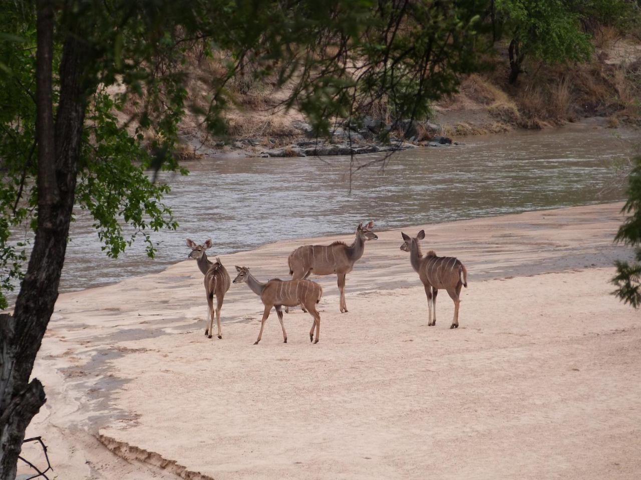 Woodlands Stop Over And Lodge Francistown Luaran gambar